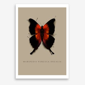 Schmetterling Kunstposter für Wohnzimmer minimalistisch