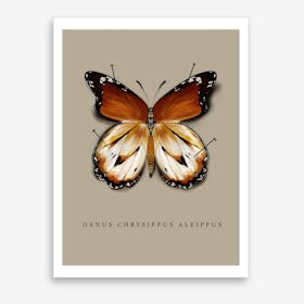 Butterfly No9 Art Print