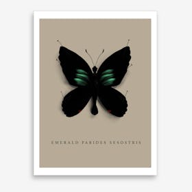 Butterfly No8 Art Print