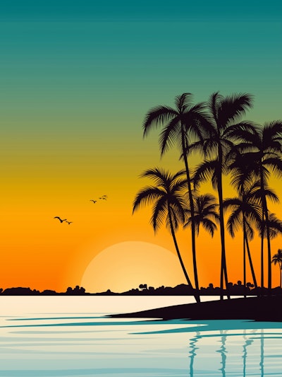 #Art Tropical Sunset Beach Illustration – Palm Tree Ocean Landscape